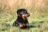 BEAUCERON 1041